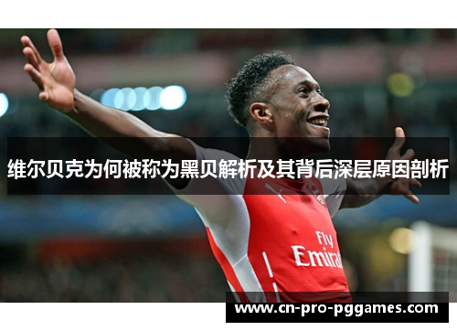 维尔贝克为何被称为黑贝解析及其背后深层原因剖析