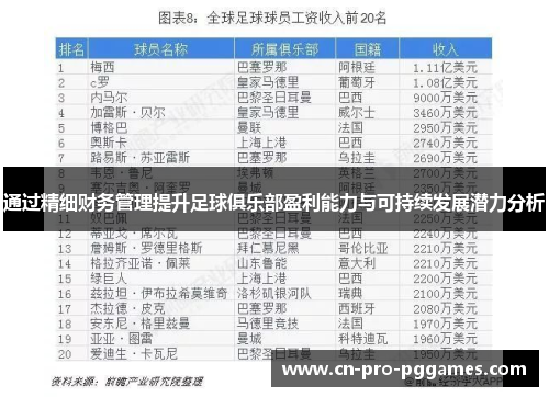 通过精细财务管理提升足球俱乐部盈利能力与可持续发展潜力分析